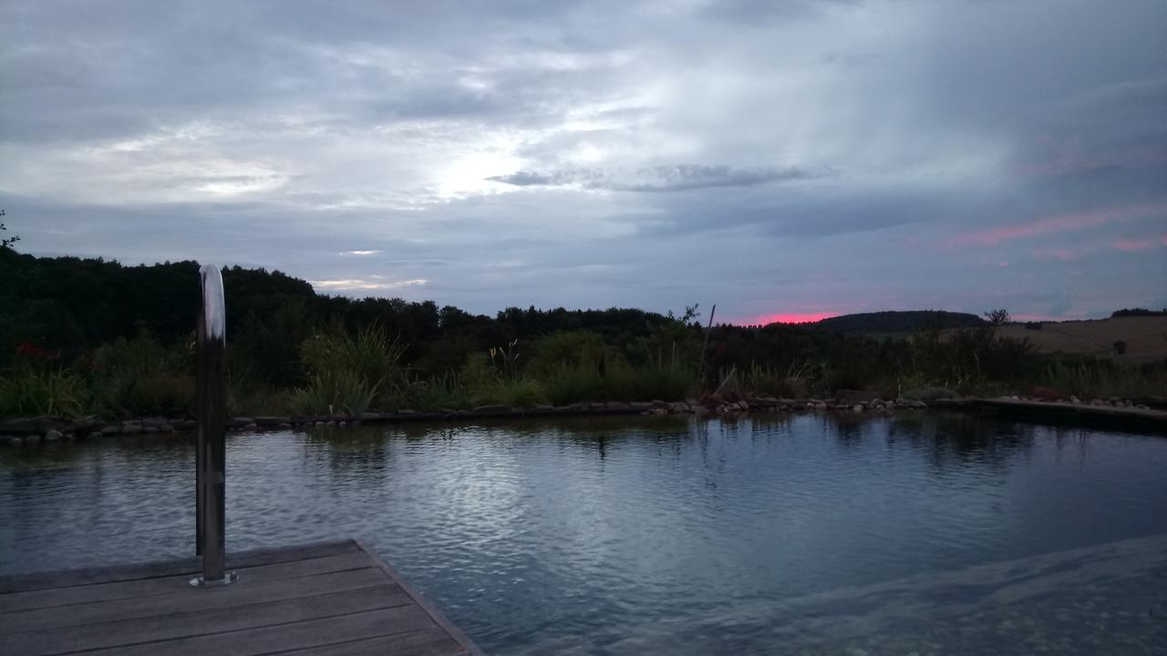 Ferienwohnung Waldblick Τσβαϊμπρίκεν Εξωτερικό φωτογραφία